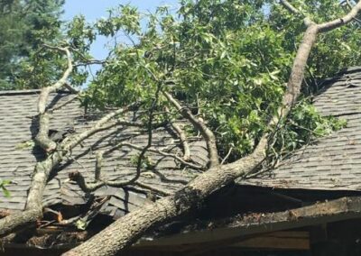 A tree hit a residential house when it fell down