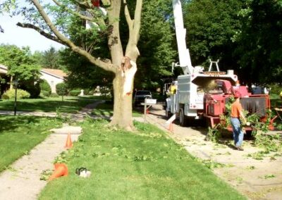 GA Tree Company team cutting a tree using a heavy equipment