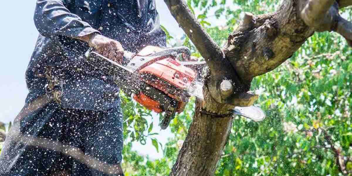 How to Keep a Tree From Falling Over During Severe Weather