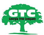 Georgia Tree Company logo