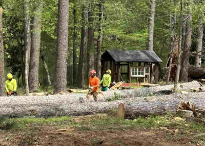 A lot during tree service in Cumming, GA